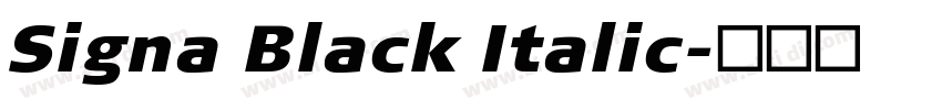 Signa Black Italic字体转换
